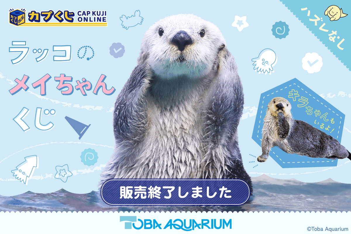 めいちゃん のウォールポケット カプくじ A賞 鳥羽水族館