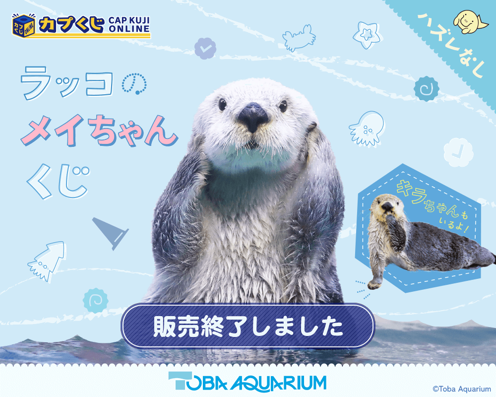 出産祝い 鳥羽水族館 カプくじ らっこ ラッコ 缶バッジ あくび 