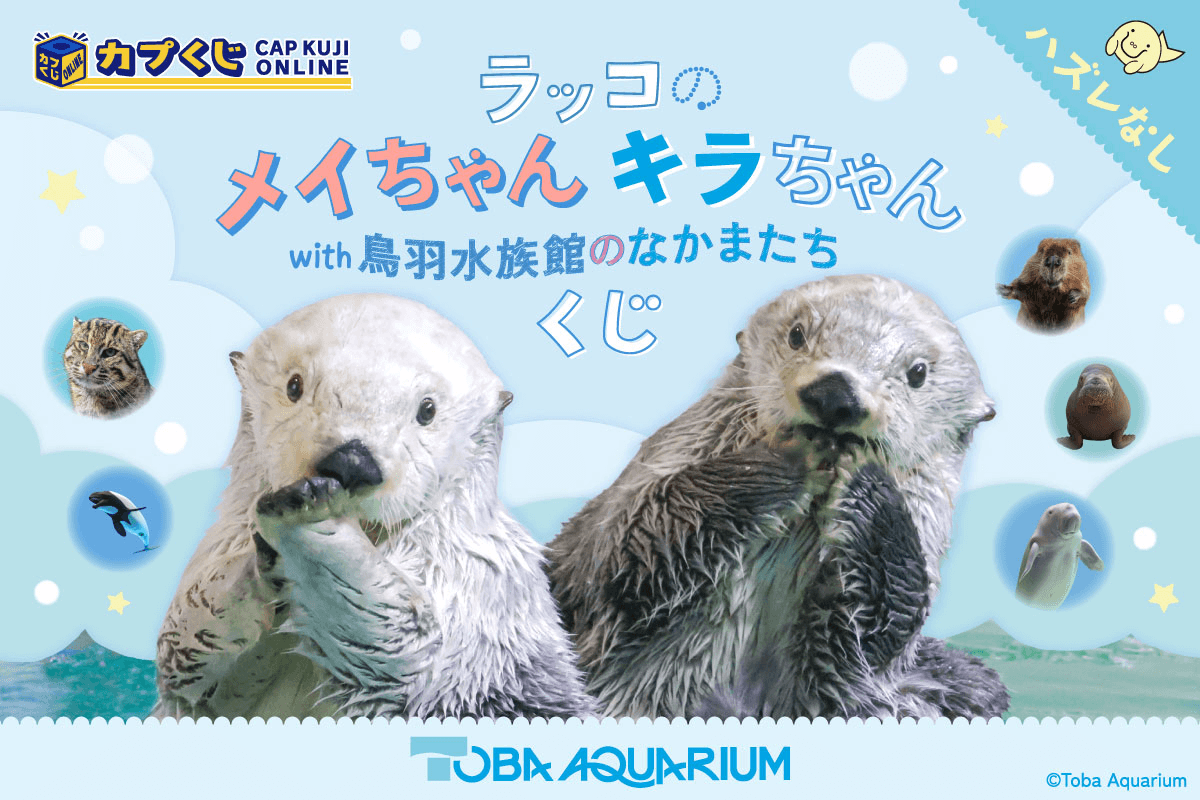 ラッコのメイちゃん&キラちゃん with 鳥羽水族館のなかまたち くじ