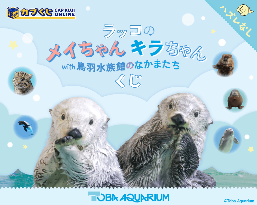 ラッコのメイちゃん&キラちゃん with 鳥羽水族館のなかまたち くじ