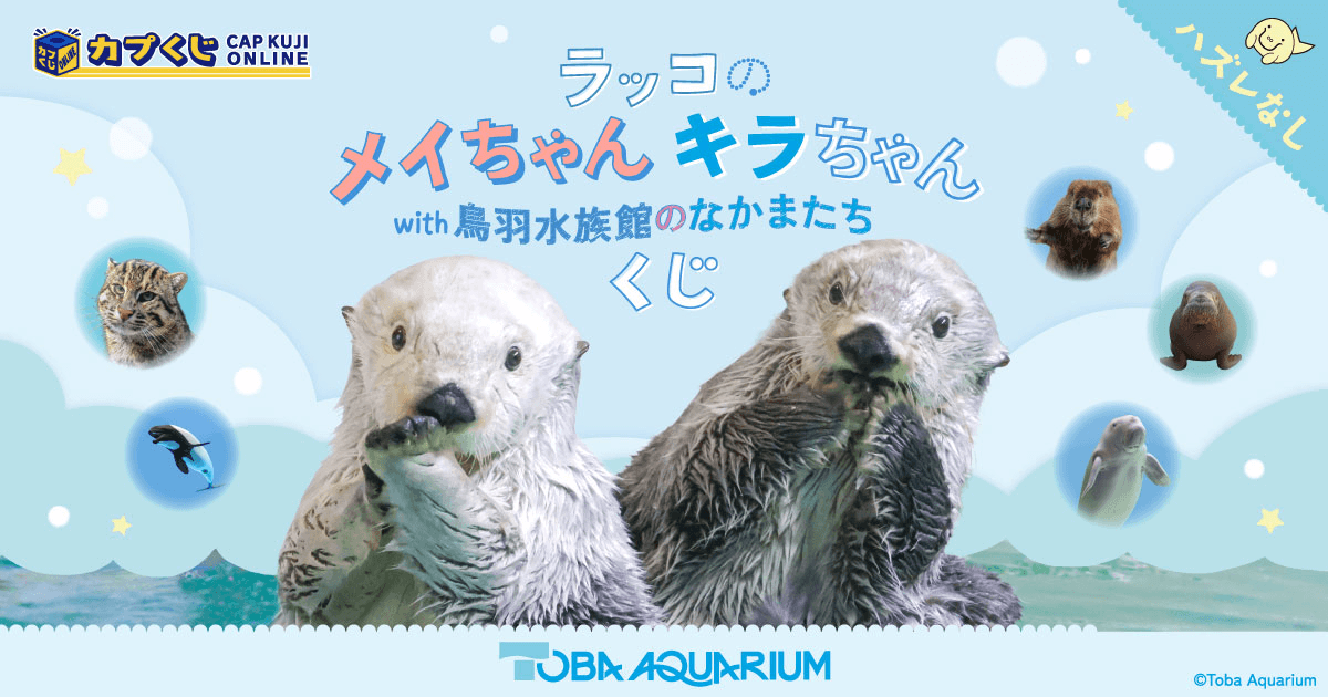 【匿名発送】ラッコのメイちゃんくじ/ナイトアクアリウムステッカー/バッヂ ラッコのメイちゃん＆キラちゃん with 鳥羽水族館のなかまたち くじ