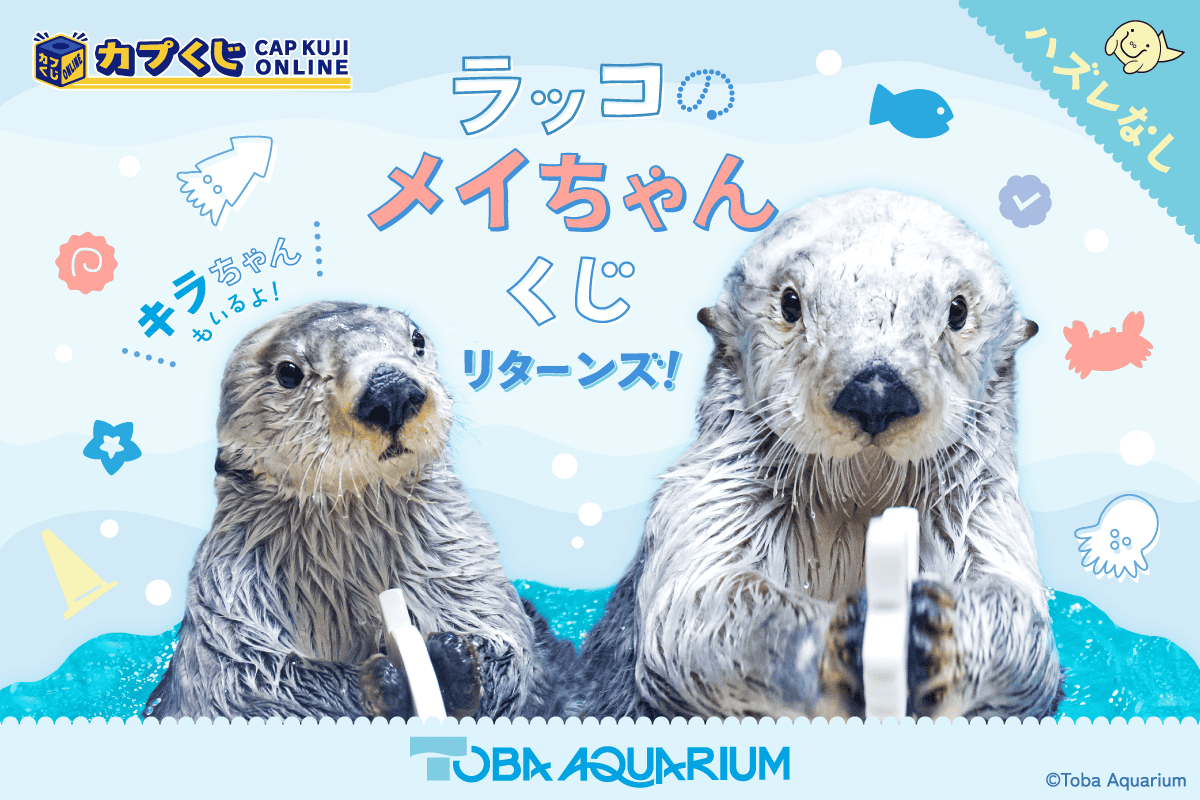 カプくじ×鳥羽水族館 ラッコのメイちゃんくじ リターンズ！