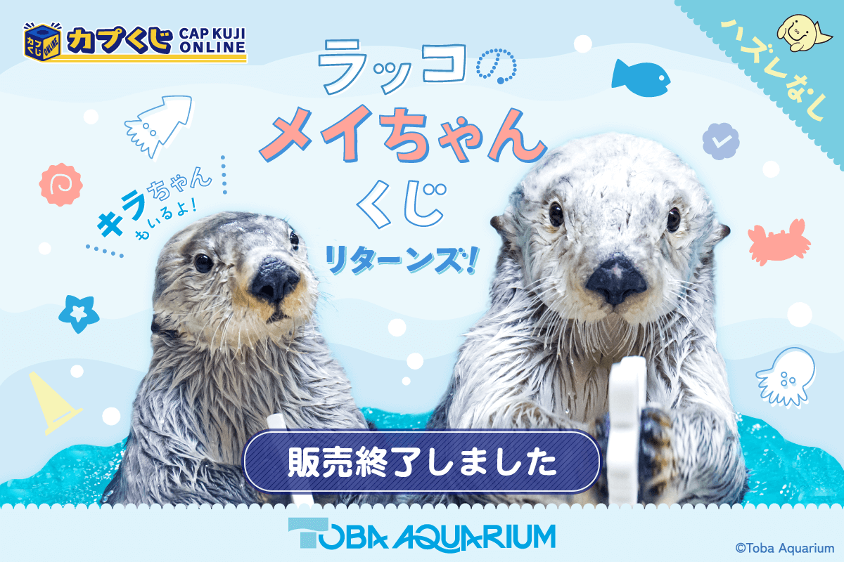 カプくじ×鳥羽水族館 ラッコのメイちゃんくじ リターンズ！