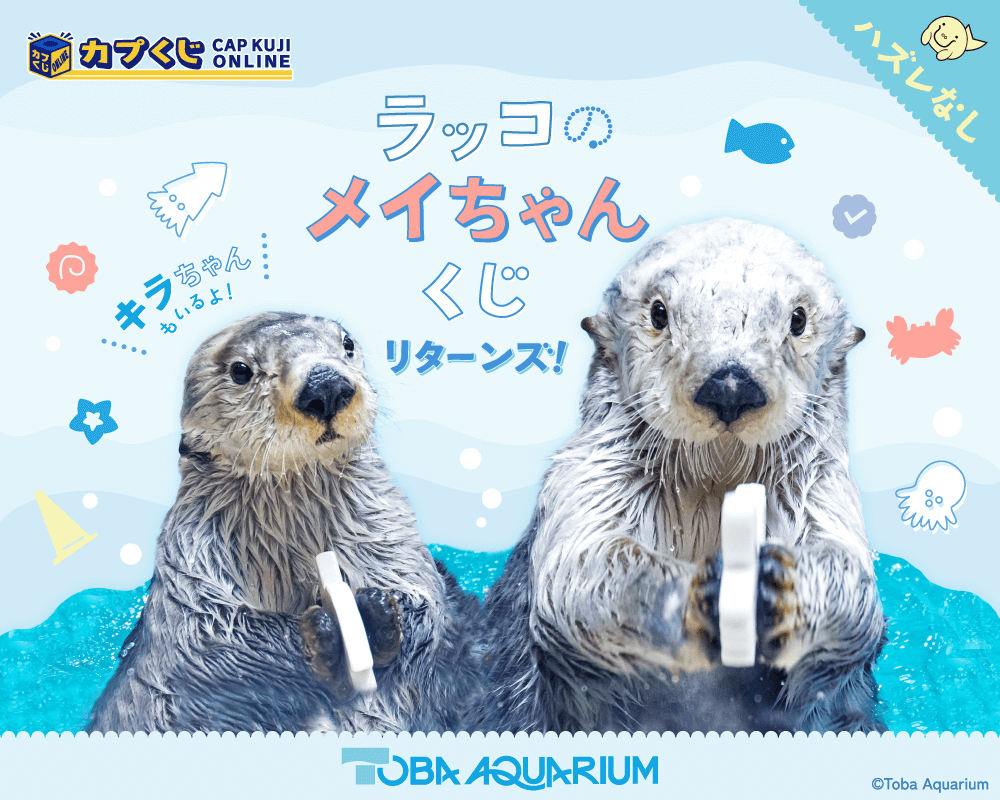 カプくじ×鳥羽水族館 ラッコのメイちゃんくじ リターンズ！