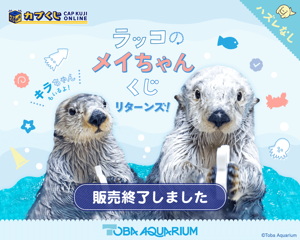 素晴らしい外見 カプくじ×鳥羽水族館 リターンズ ラッコのメイちゃんくじ キーホルダー・アクリルキーホルダー