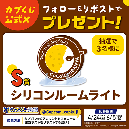 「S賞：シリコンルームライト」