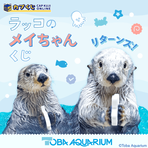 カプくじ×鳥羽水族館 ラッコのメイちゃんくじ　リターンズ!