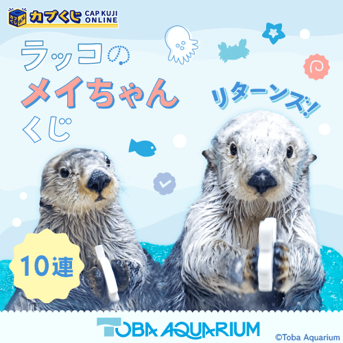カプくじ×鳥羽水族館 ラッコのメイちゃんくじ　リターンズ!【10連セット】