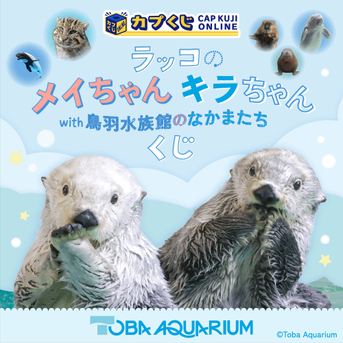 ラッコのメイちゃん&キラちゃん with　鳥羽水族館のなかまたち くじ