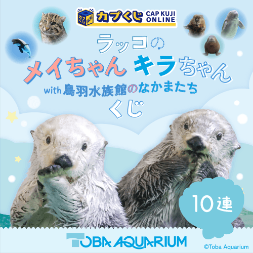 ラッコのメイちゃん&キラちゃん with　鳥羽水族館のなかまたち くじ【10連セット】